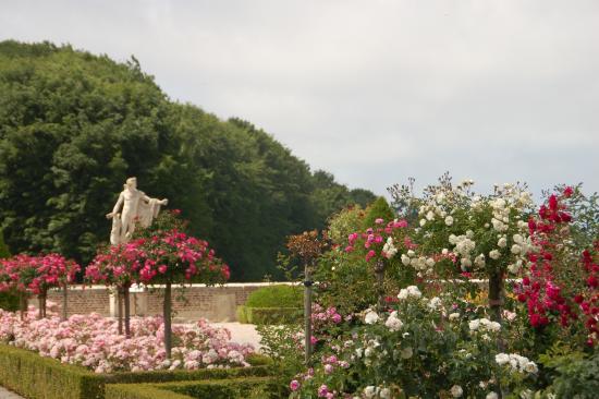 L’ancien domaine royal : parc et jardin à la française du château
